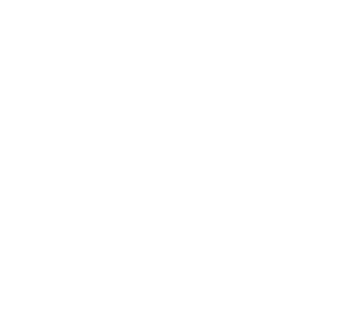 Carolina ChiroCare and Rehab White Logo